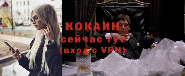 стаф Балахна