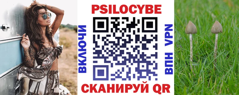 Псилоцибиновые грибы мухоморы Купить закладки Александровское